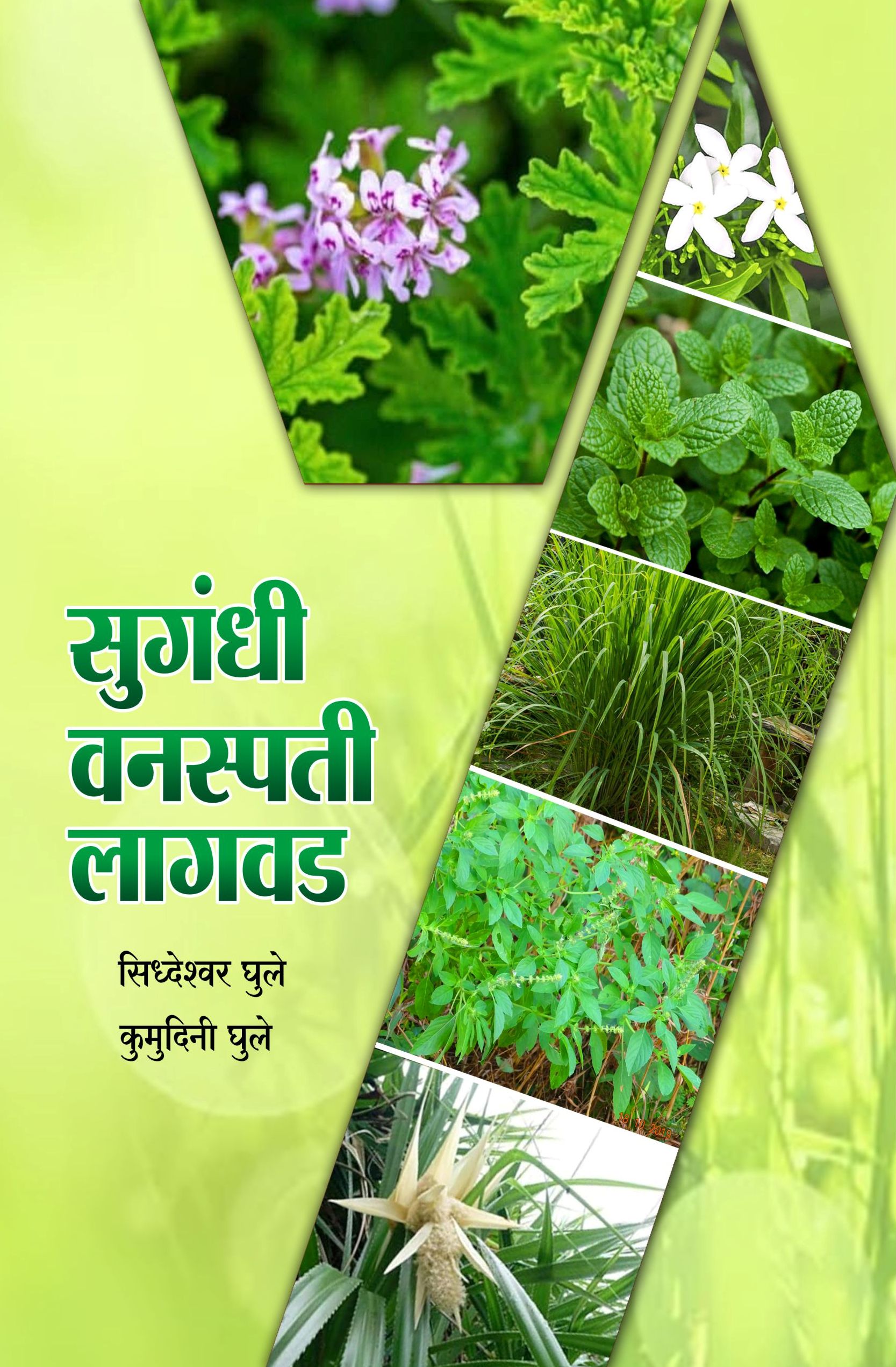 SUGANDHI VANASPATI LAGWAD